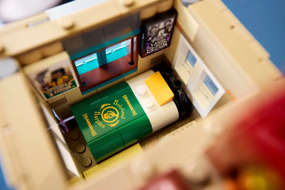 set la madriguera.webp